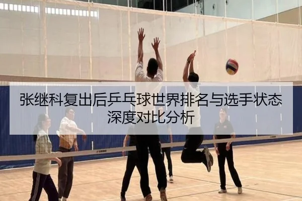 张继科复出后乒乓球世界排名与选手状态深度对比分析